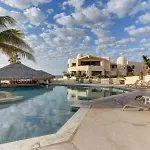 Unit 224-Honeymoon Dream-Beachfront At Terrasol