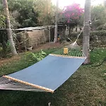 Bungalow And Surf