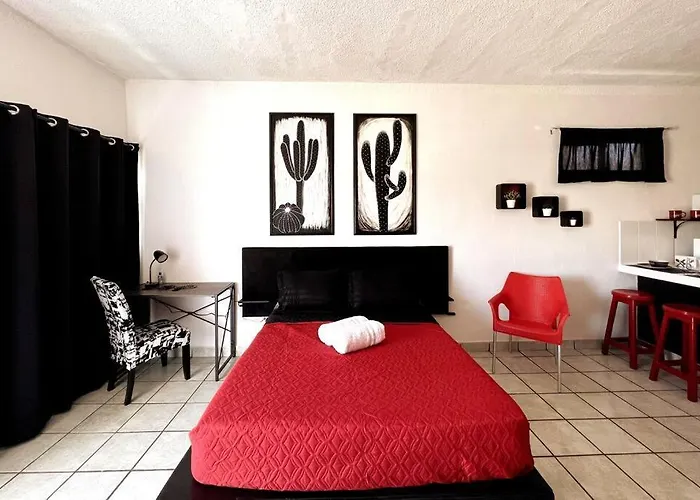The Black & White Studio The Coziest Place In Cabo