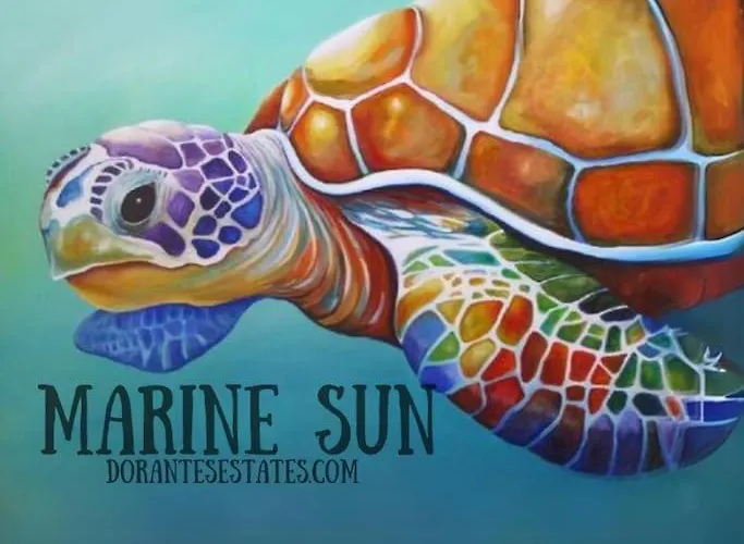 Luxurious Sol Marino Suite