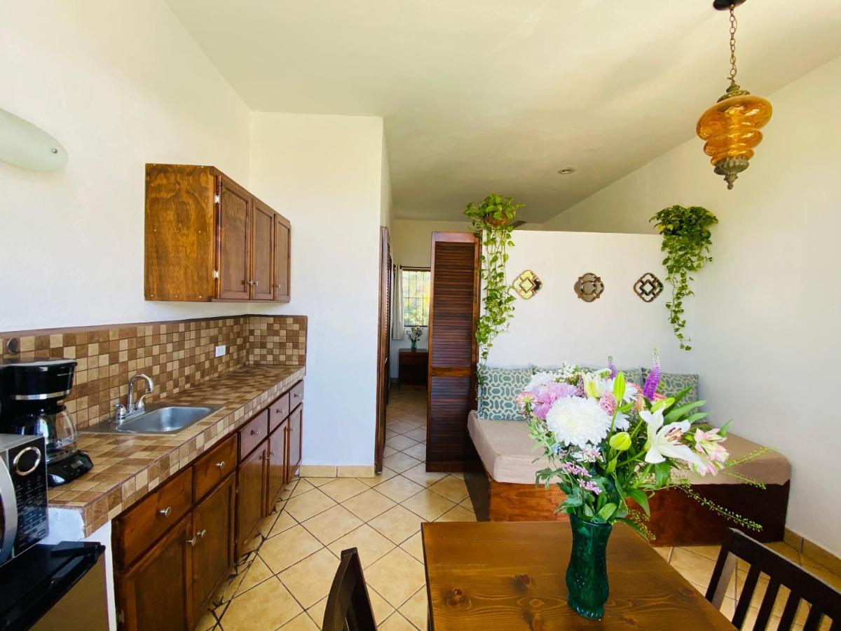 Casa de hóspedes Apartamento Cabo San Lucas
