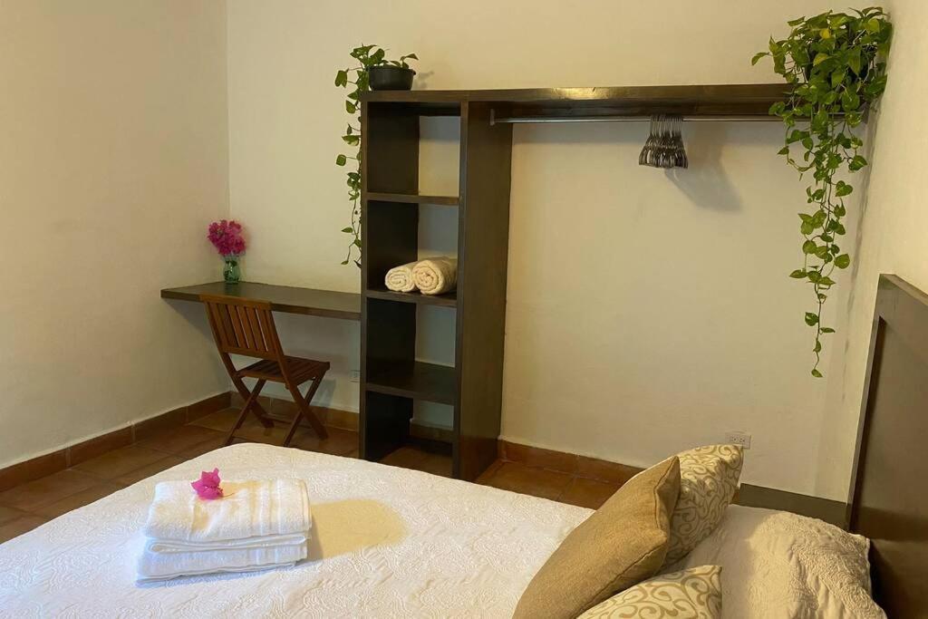 Сasa de vacaciones Casa Greg Beautiful 2 Bedroom House Adults Only Cabo San Lucas