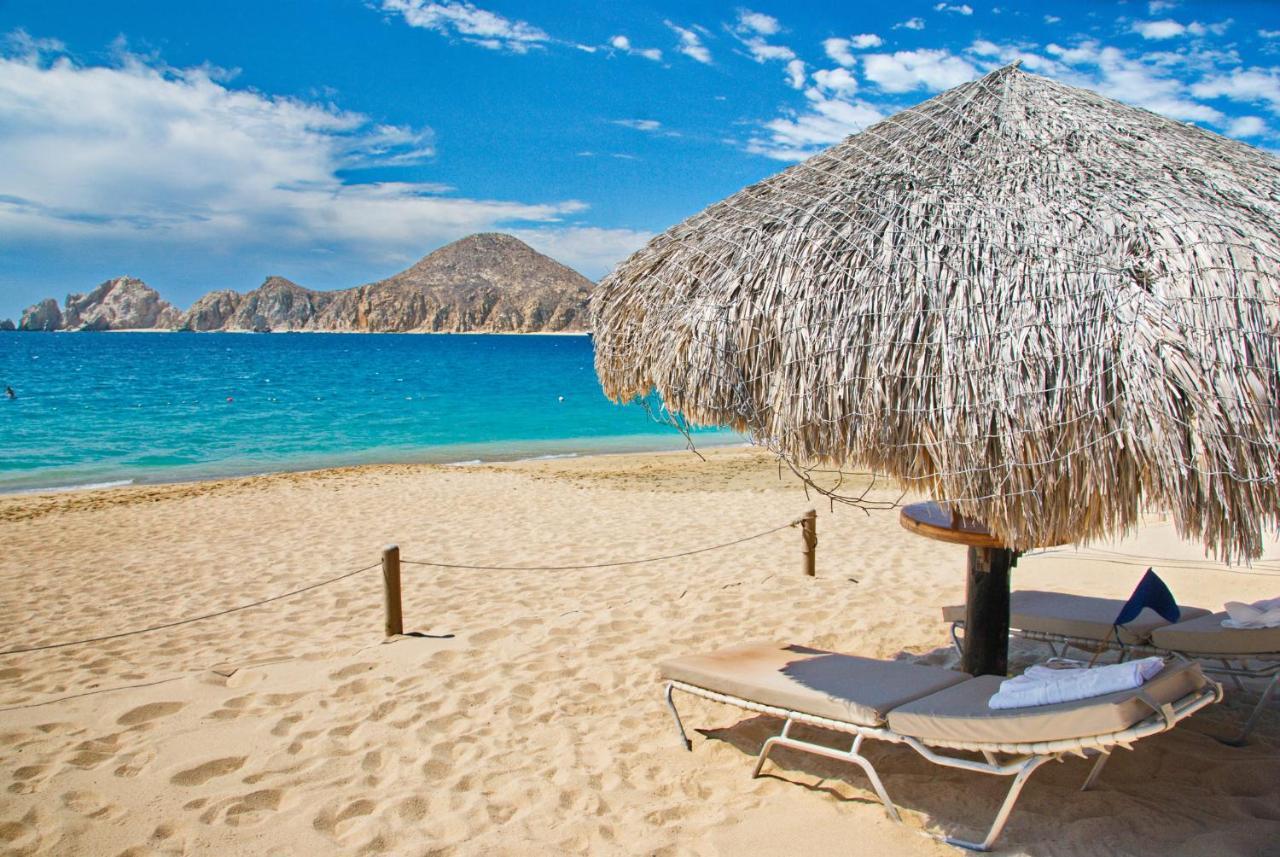 Hotel Pedregal - Marina And Downtown