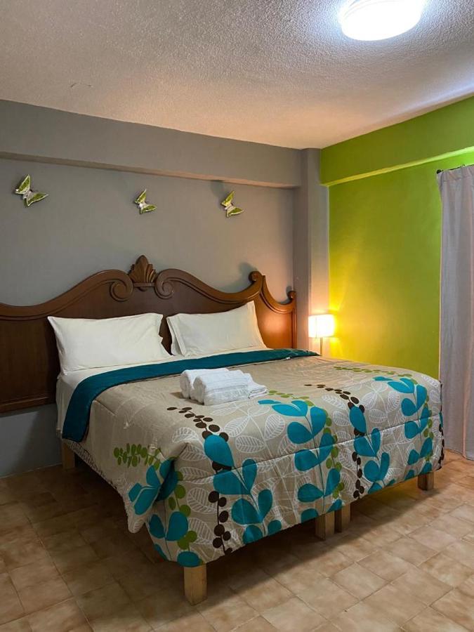 Cabo Tortuga Boutique Hotel