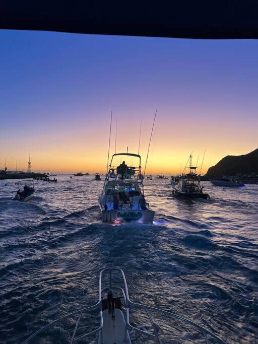 Pet Friendly 2br 2ba In Cabo San Lucas