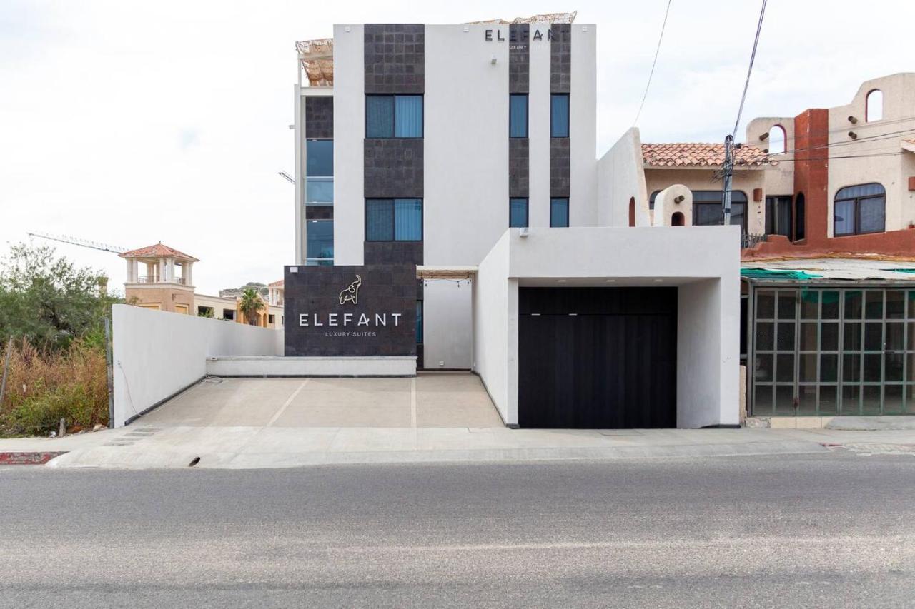 Elefant In Cabo's Touristic Downtown *