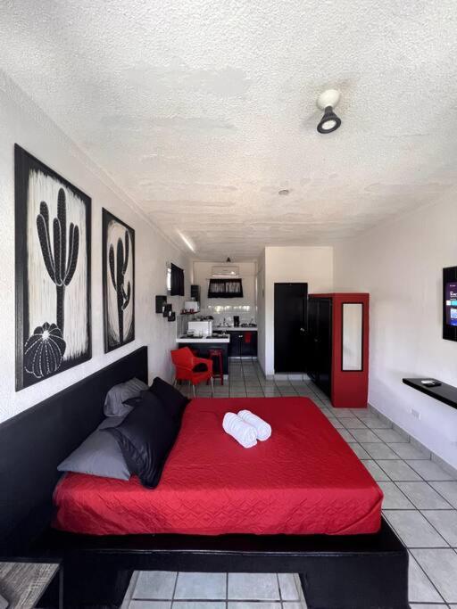 The Black & White The Coziest Place In Cabo Apartment *