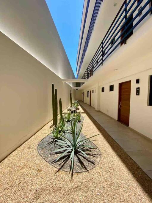 Beautiful New Sea Breeze * Cabo San Lucas