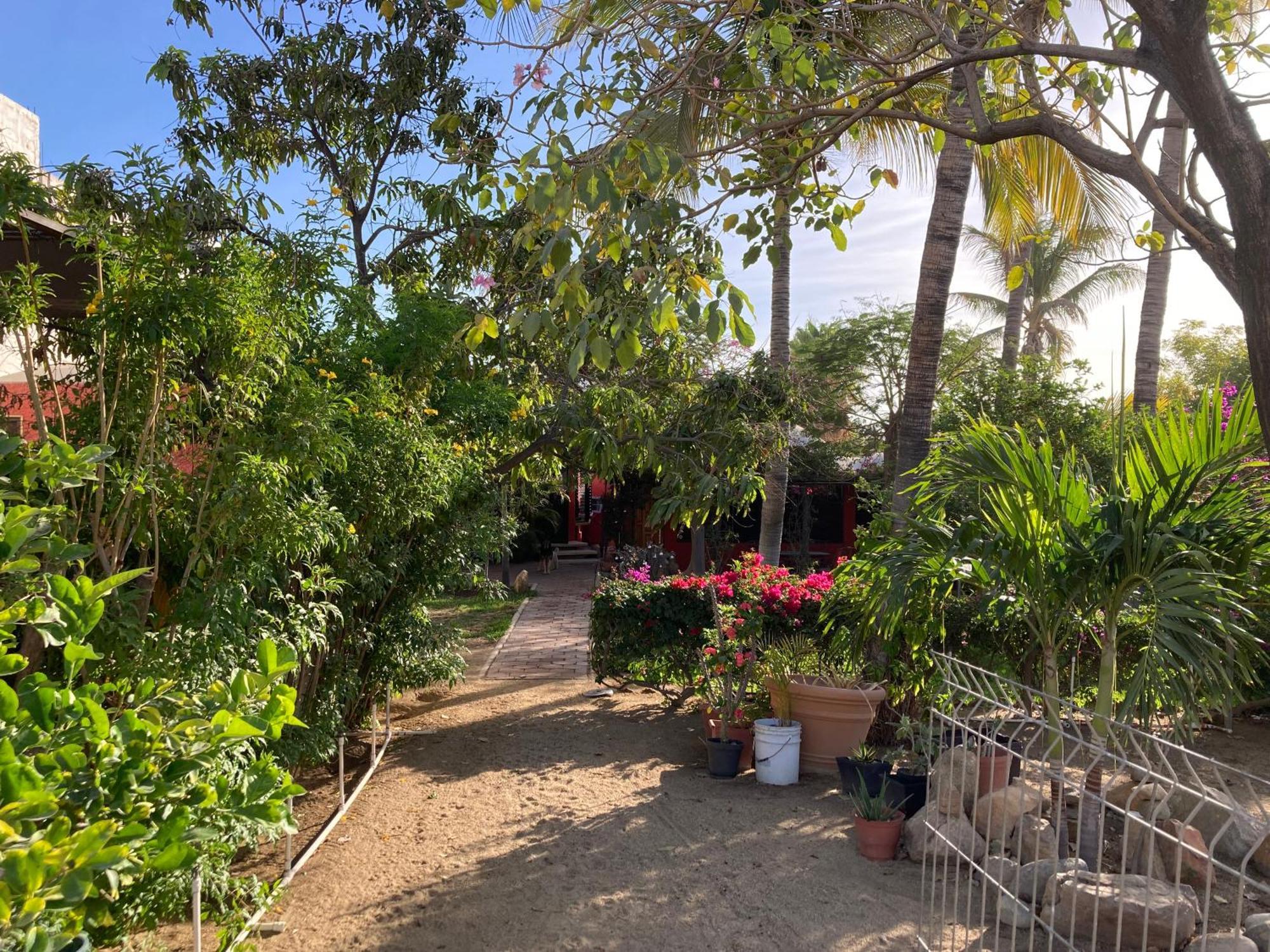 Guest house Bungalow And Surf