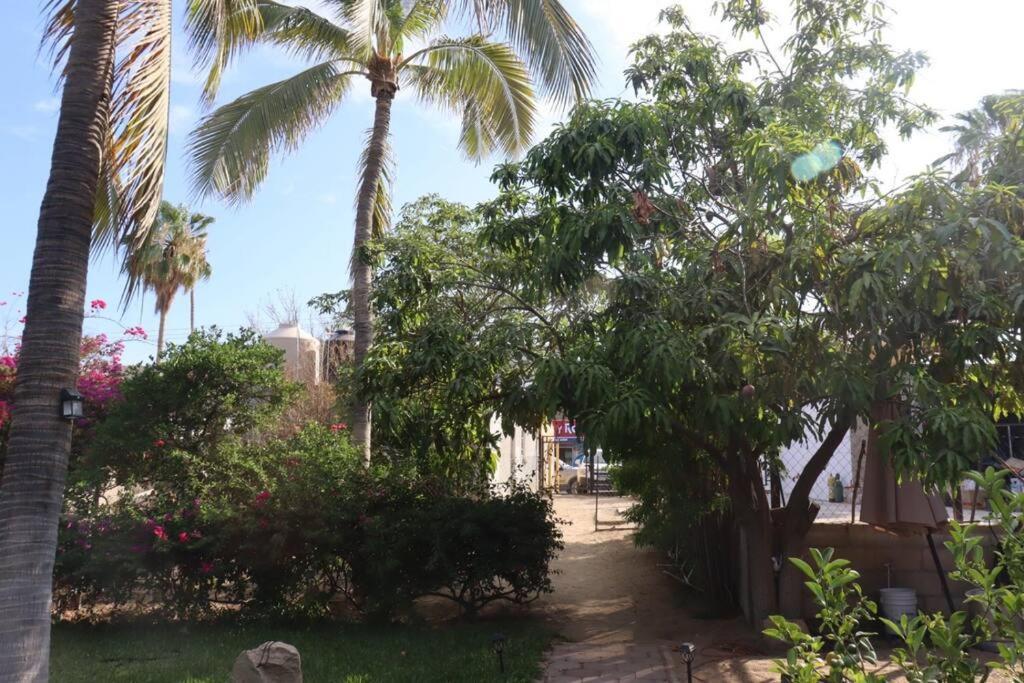 Guest house Bungalow And Surf Cabo San Lucas