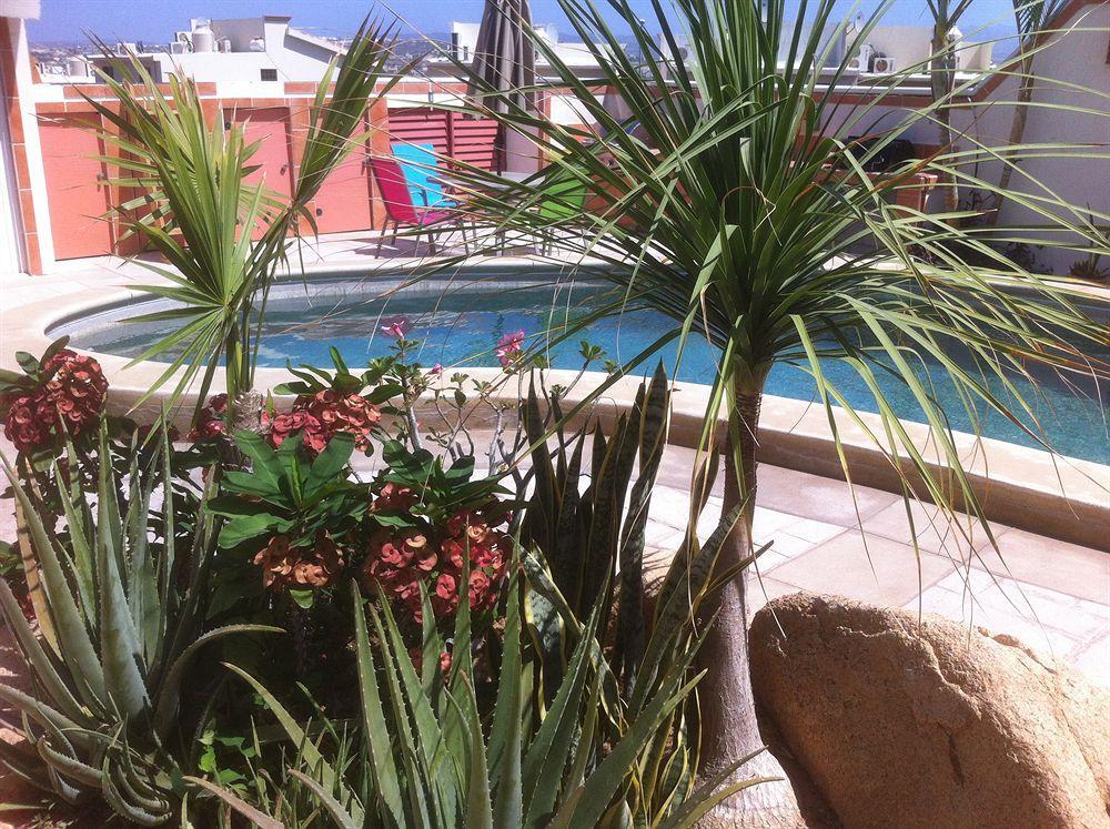 Cabo's Little Secret Two Bedroom * Cabo San Lucas