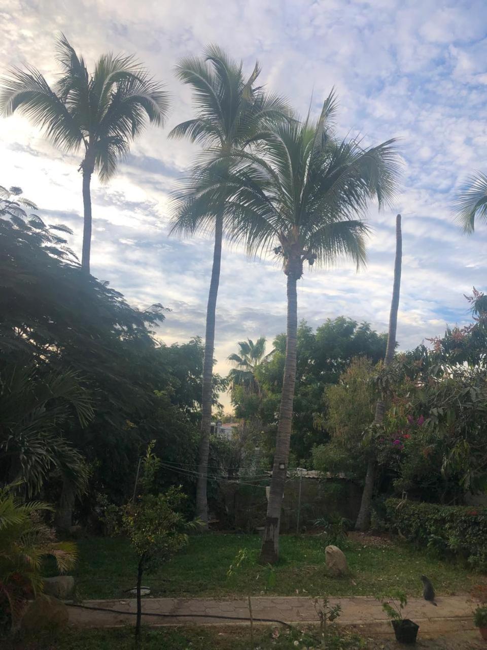 Bungalow And Surf Guest house