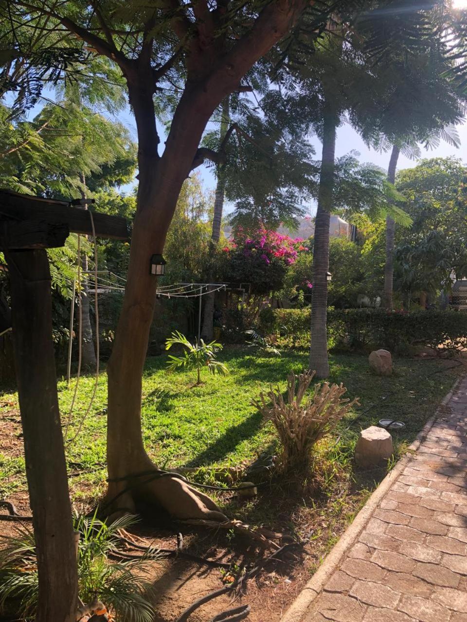 Guest house Bungalow And Surf *