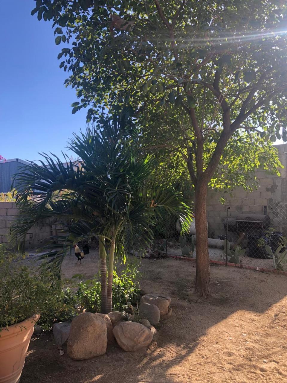 Bungalow And Surf * Cabo San Lucas