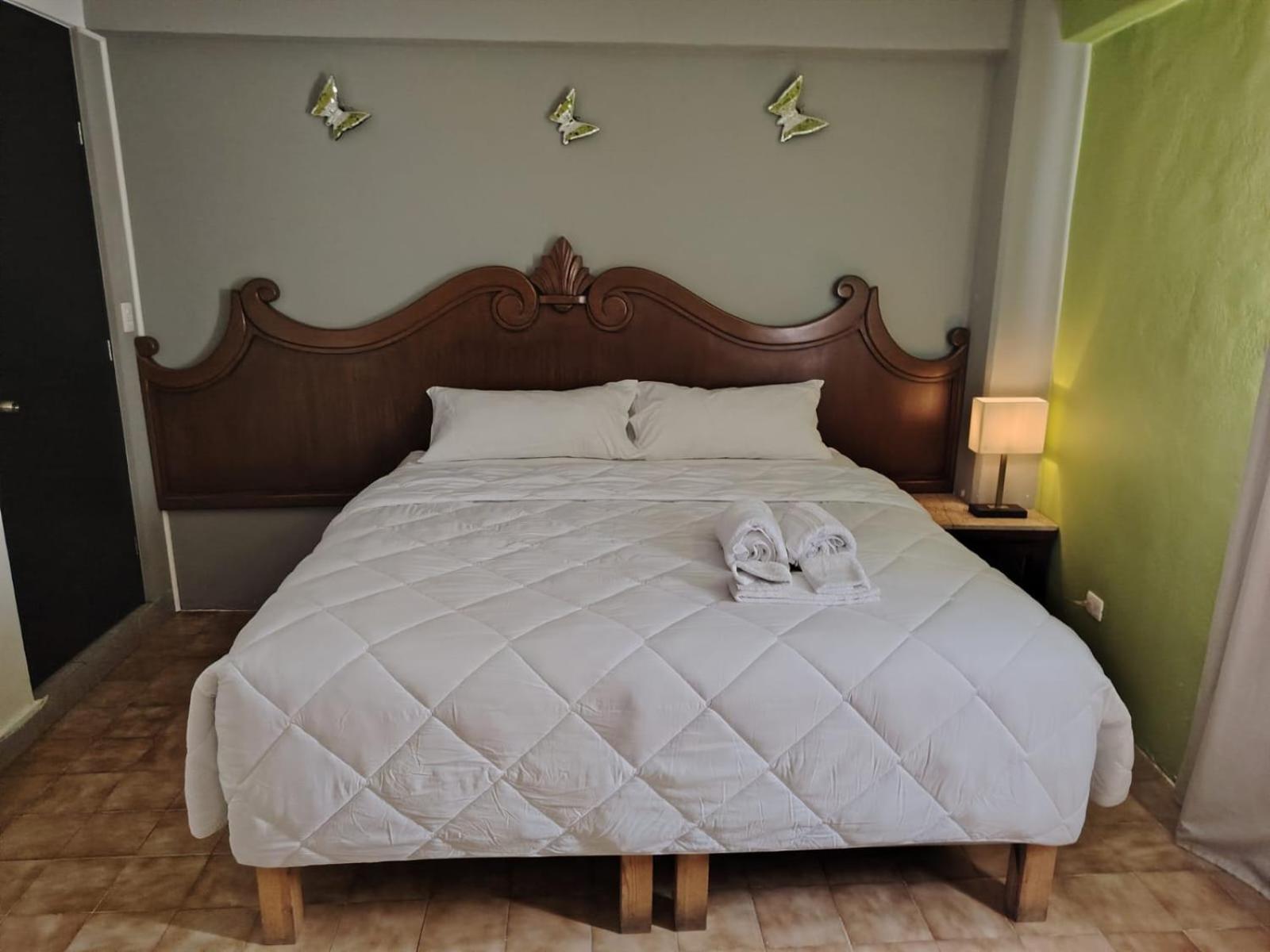 Cabo Tortuga Boutique Hotel