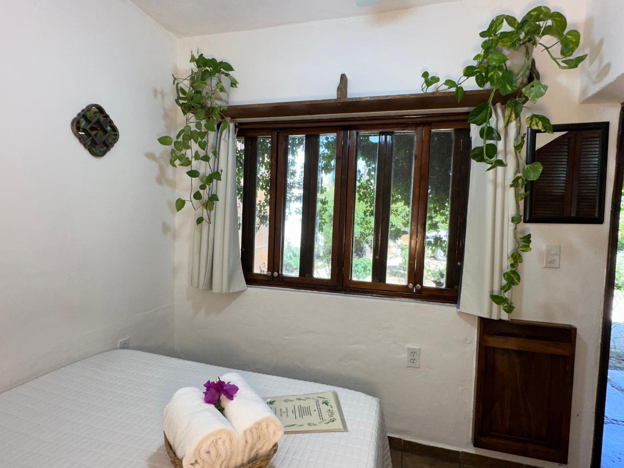 Cabo Bohemia Tropical Garden Apartment Cabo San Lucas