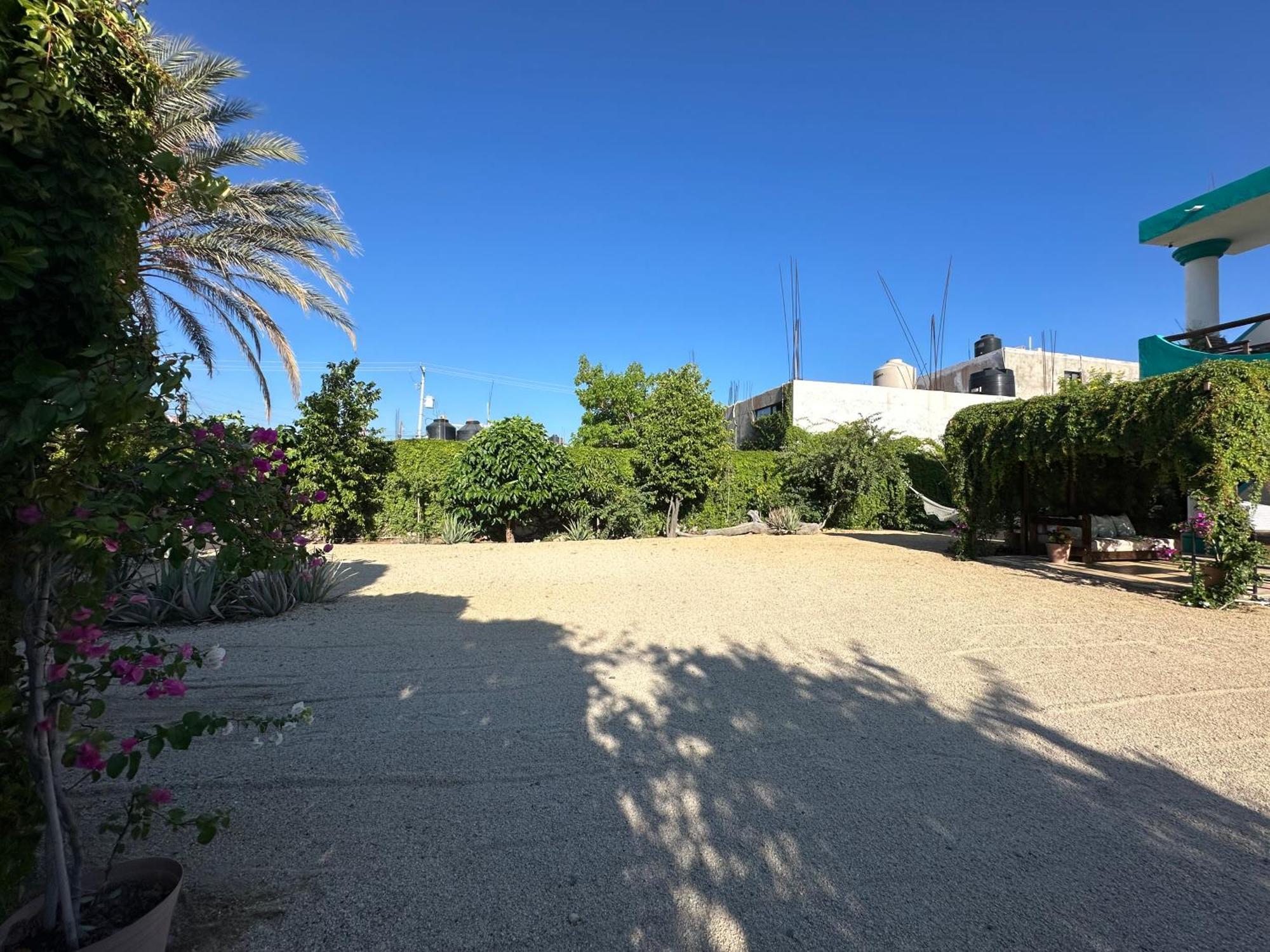 Cabo Bohemia Tropical Garden