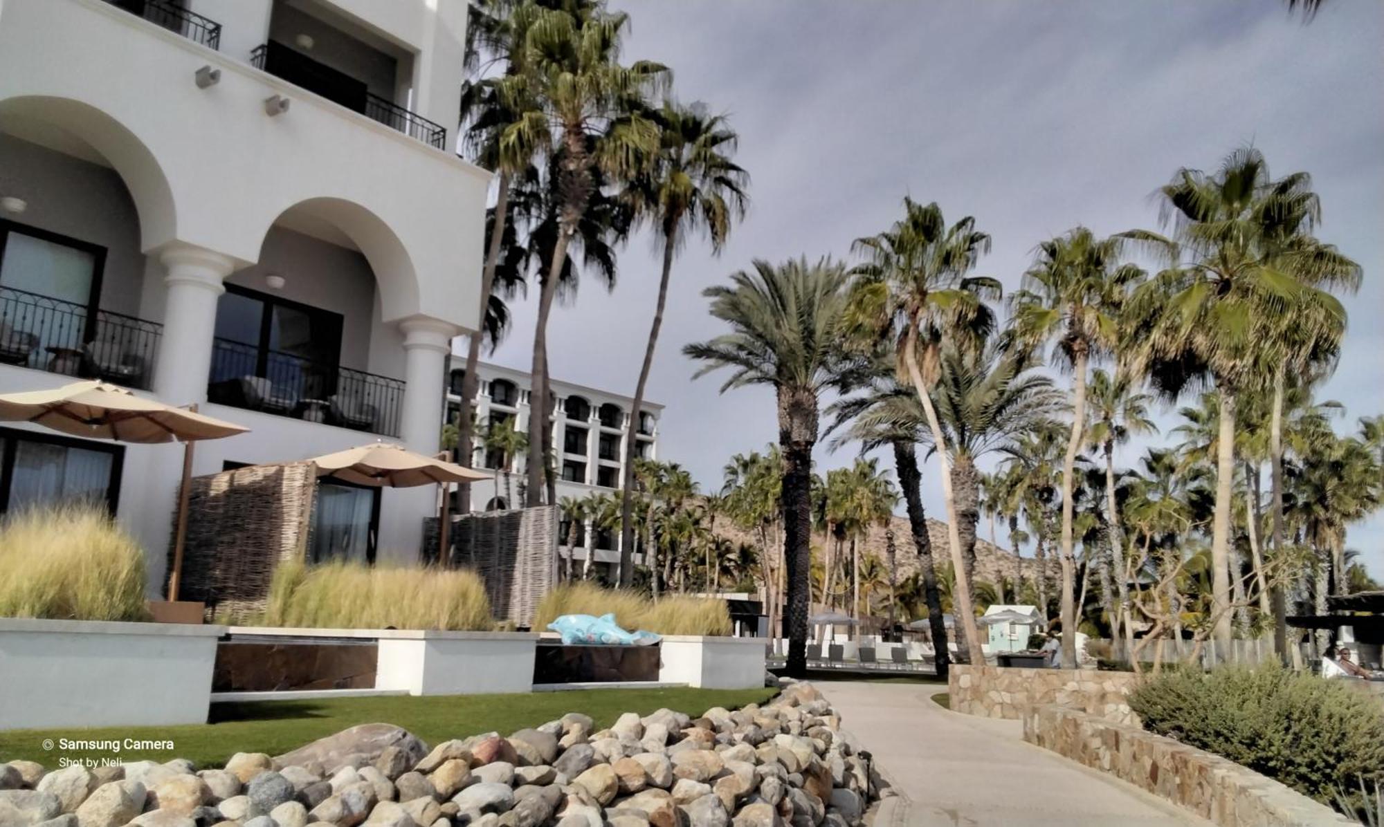 Resort Swuim Up