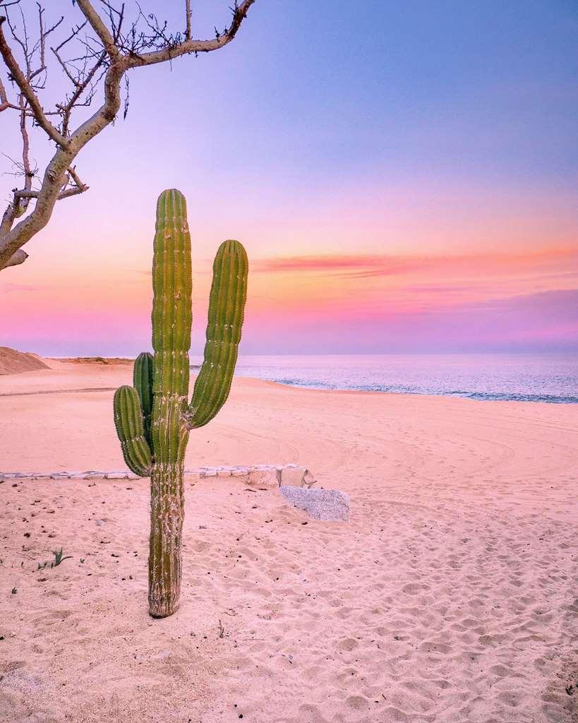 Park Hyatt Cabos At Cabo Del Sol Hotel