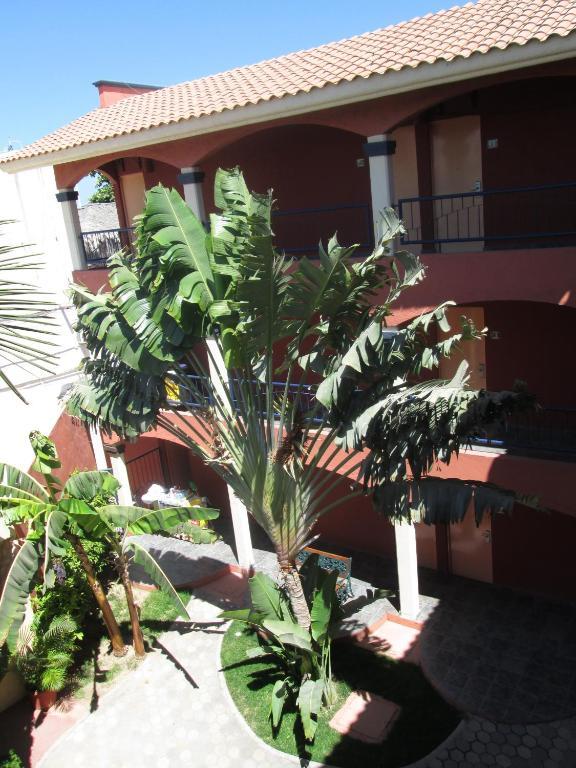 Hotel Real Cabos Cabo San Lucas