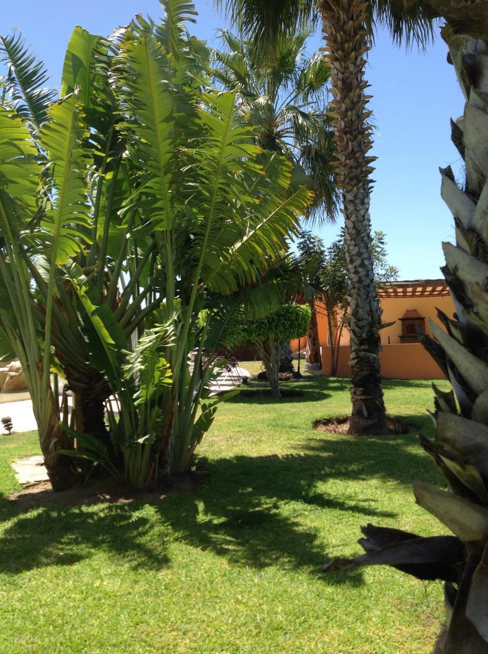 Positano Hotel Cabo San Lucas