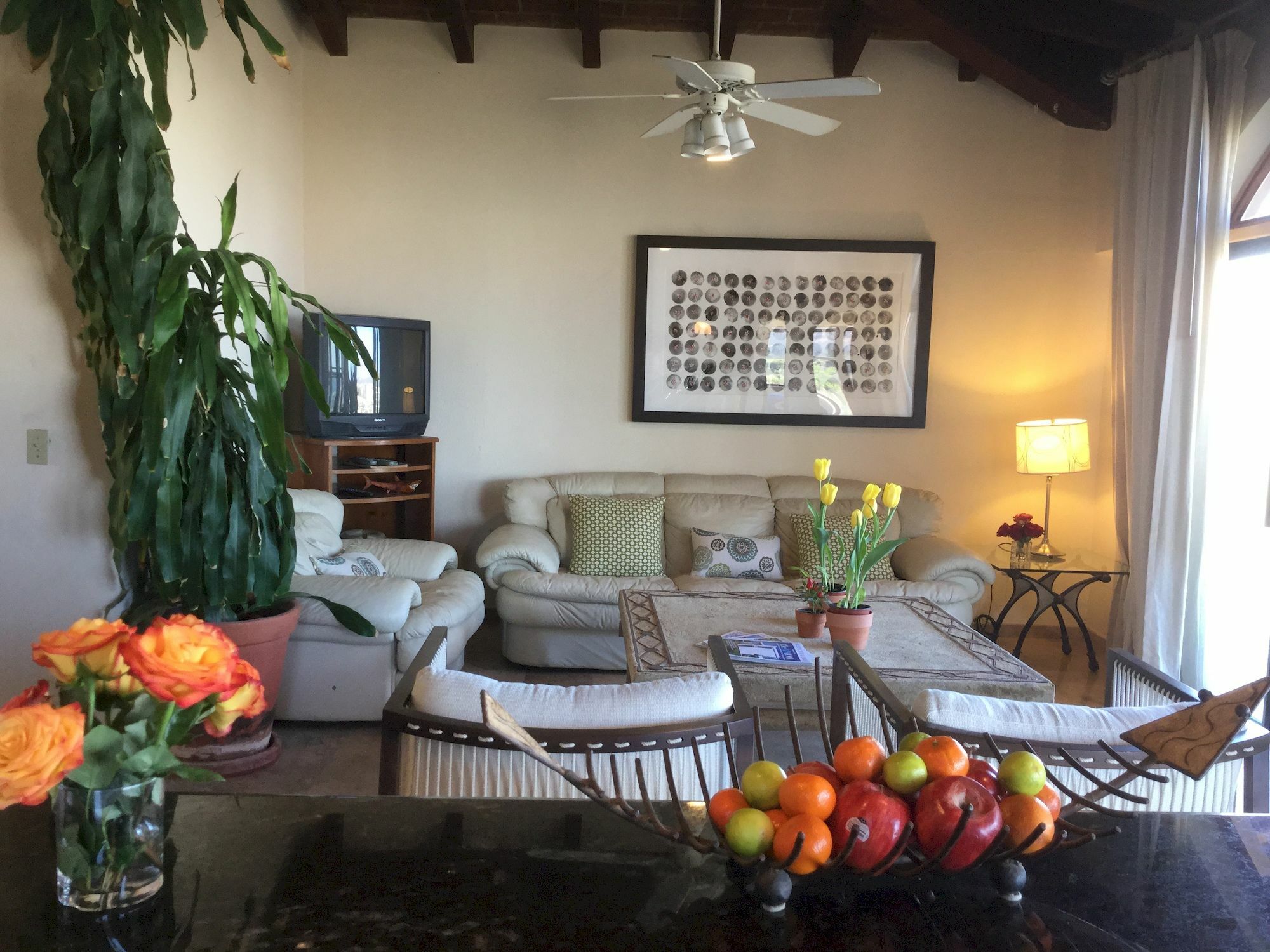 Sunrise Cove Luxury Penthouse *