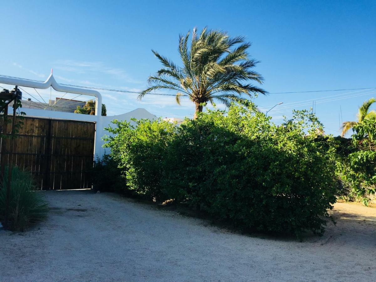 Apartamento Casa de hóspedes Cabo San Lucas