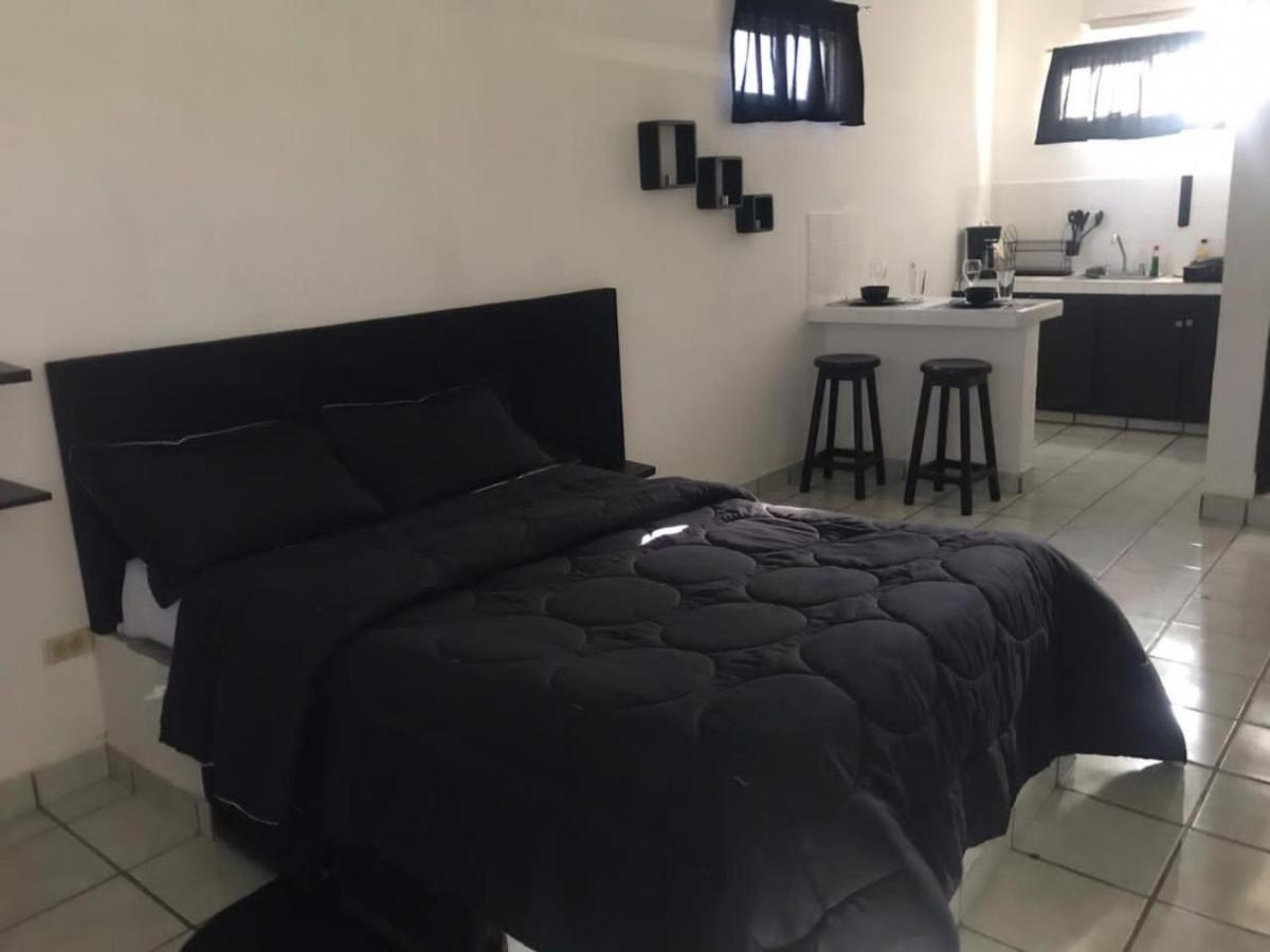 Apartment Cozy Black And White Studio Cabo San Lucas