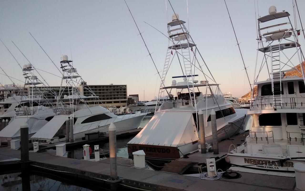 Dolce Junior Cabo San Lucas
