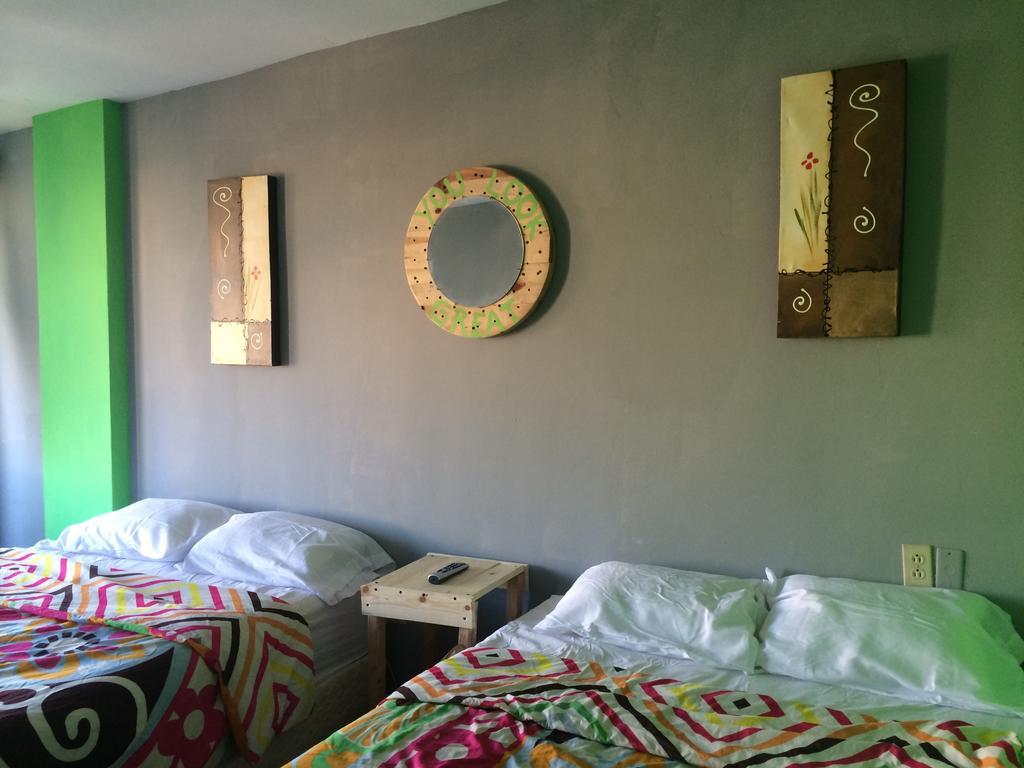 Bajas Cactus Hostal