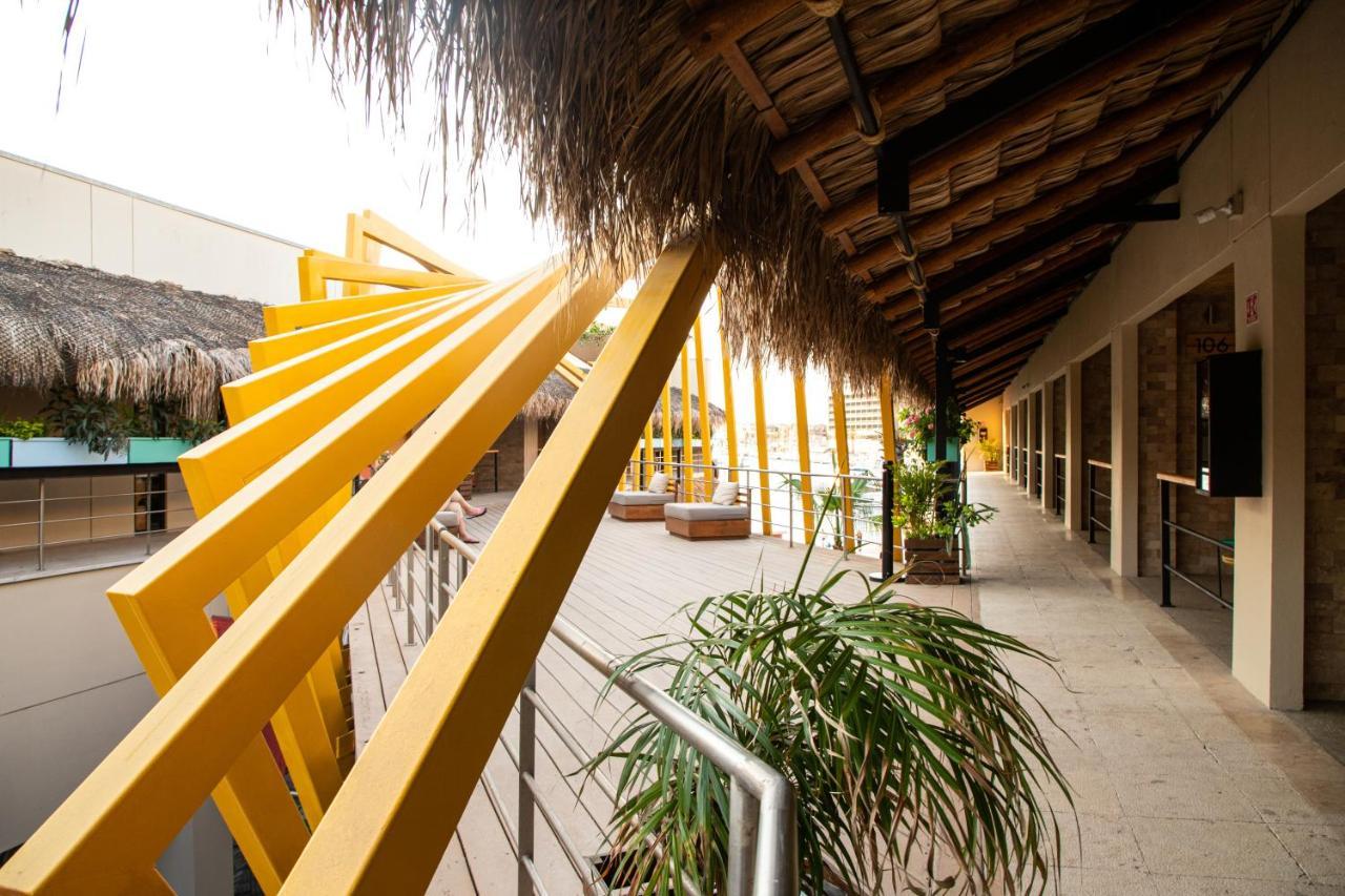Mayan Monkey Cabos