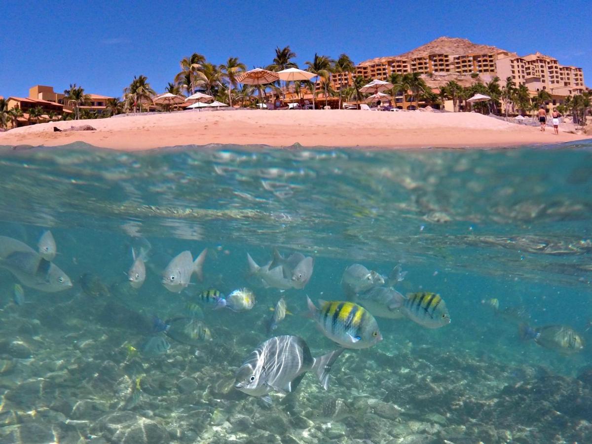 Grand Fiesta Americana Cabos Golf &