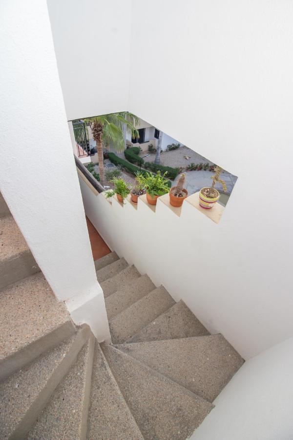 Apartment Your Cabo Penthouse Escape Walk To & Sea!