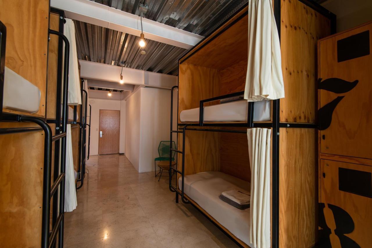 Hotel Mayan Monkey Cabos