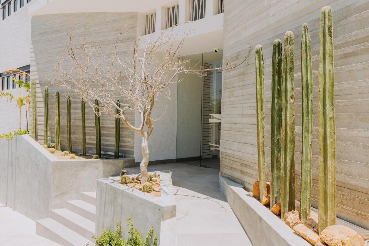 605 Tower Downtown Cabo *