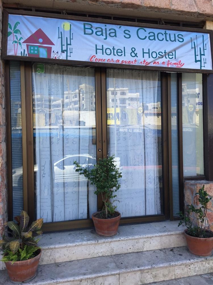 Bajas Cactus Hostal *
