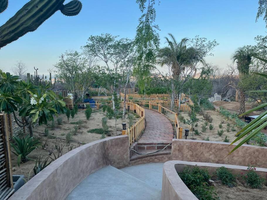Casa Shonna Cabo San Lucas