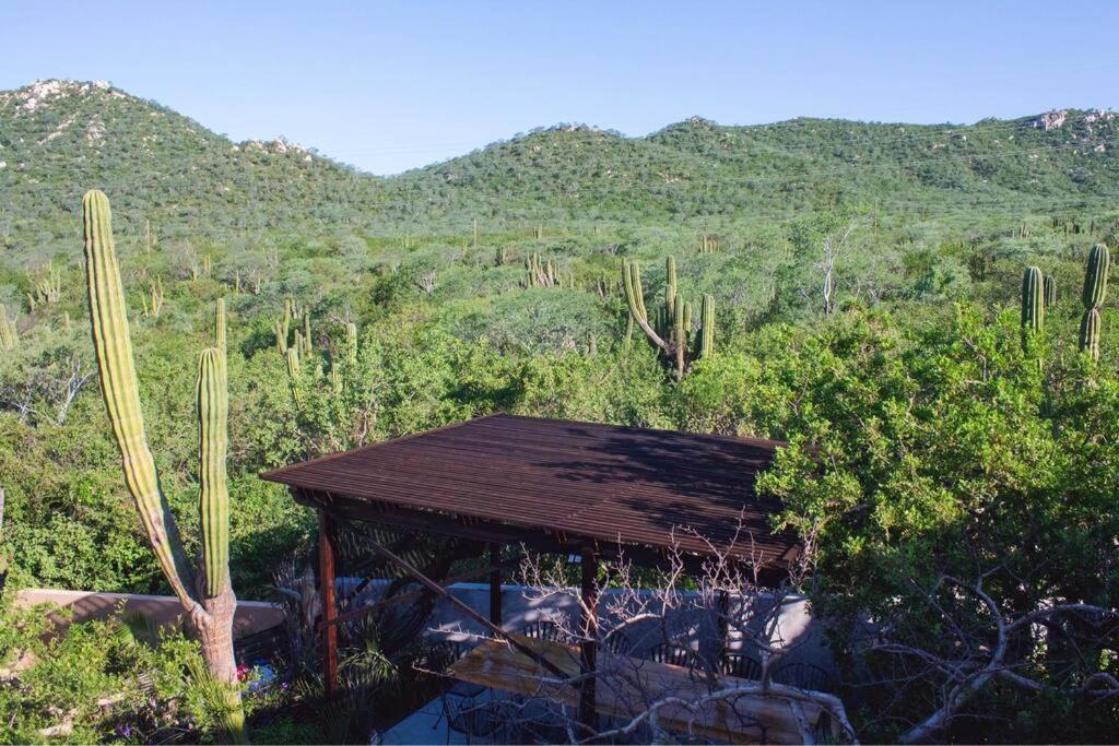 Casa Shonna *