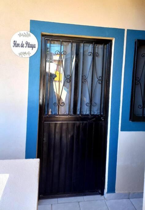 Apartamento Loft Flor De Pitaya