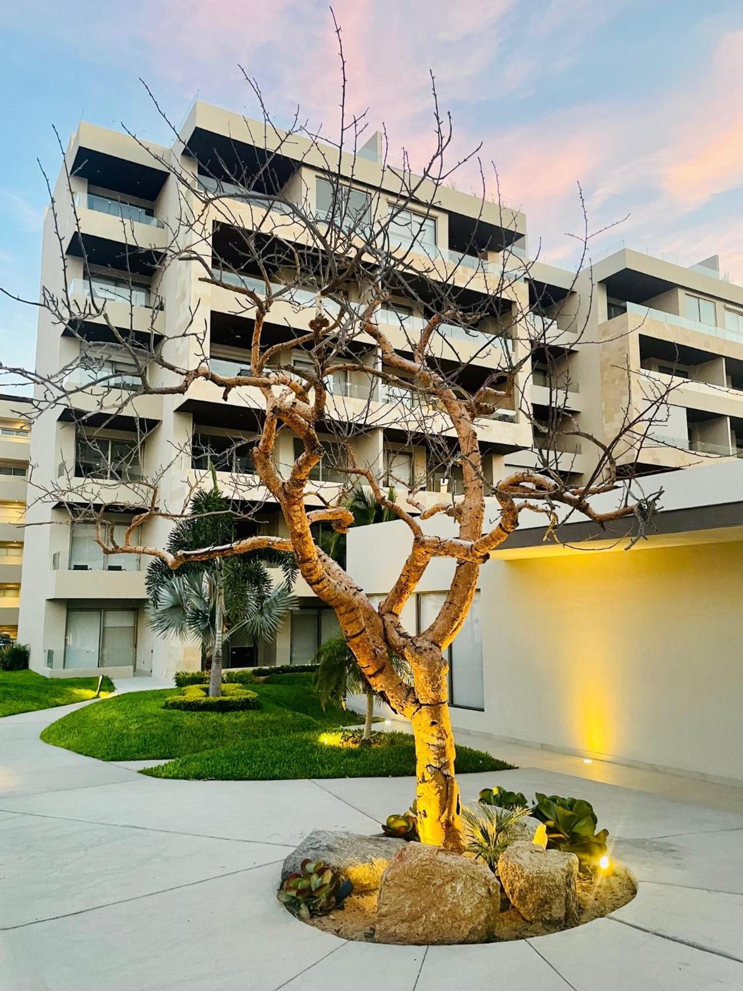 Loft Con Balcon Privado, Estacionamiento Gratis - Un Oasis En Cabos *