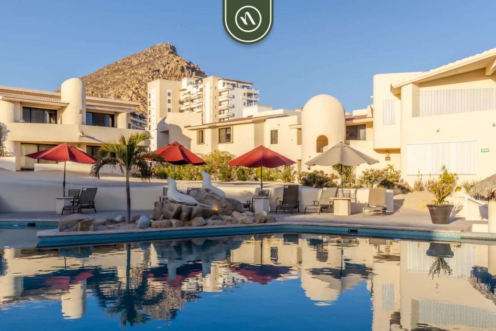 Oceanview 1 Bedroom With Access - King Bed Apartment