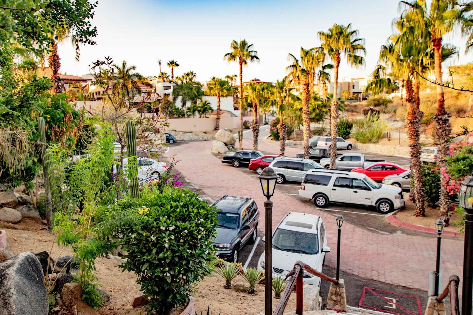 Cabo Authentic Mexican Design Overlooking The