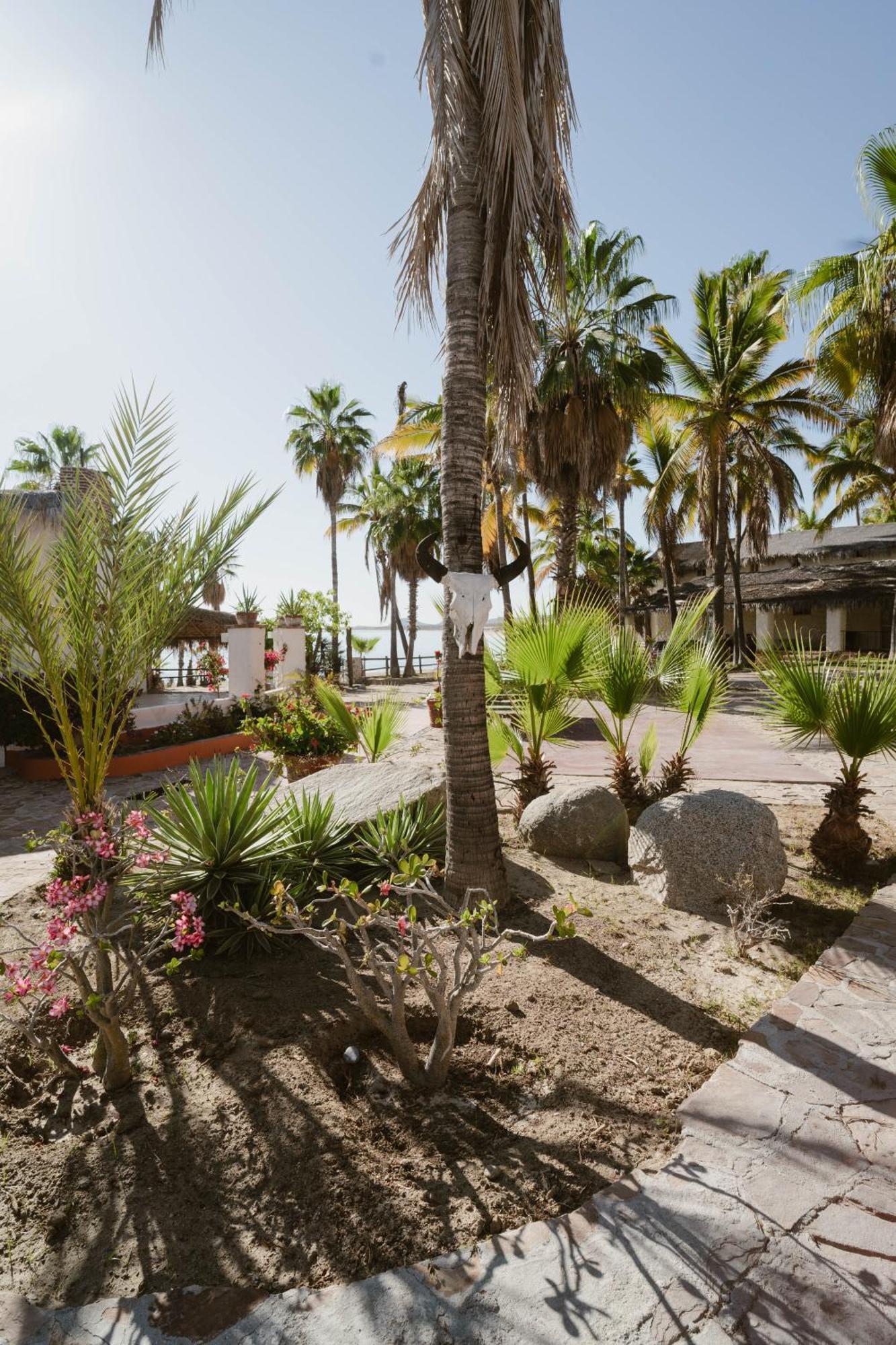 Rancho Buenavista 3* Cabo San Lucas