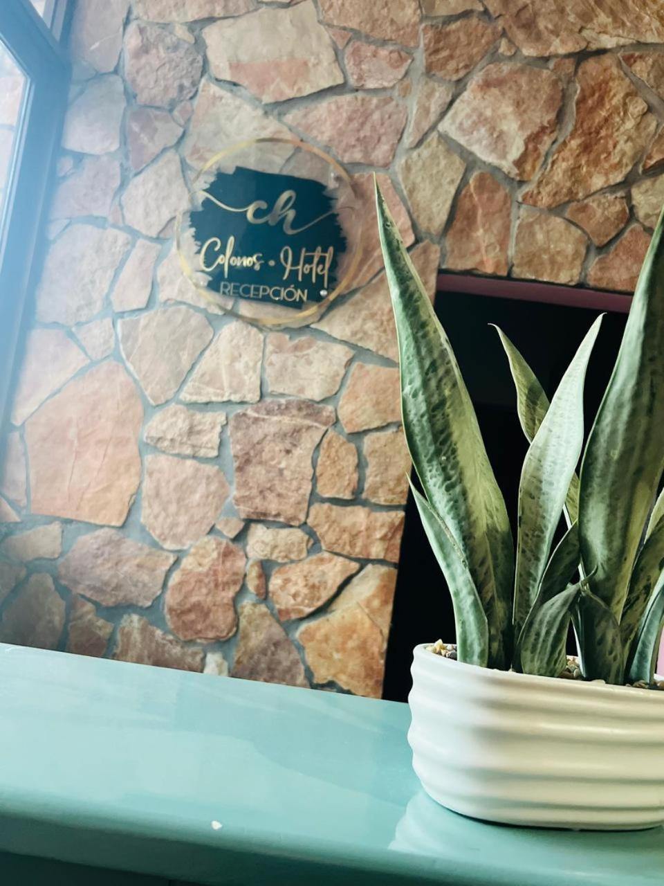 Colonos Cabos 3* Cabo San Lucas