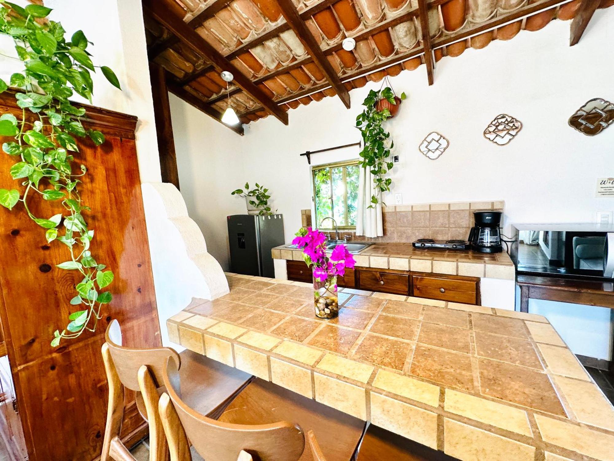 Apartment Cabo Bohemia Tropical Garden *