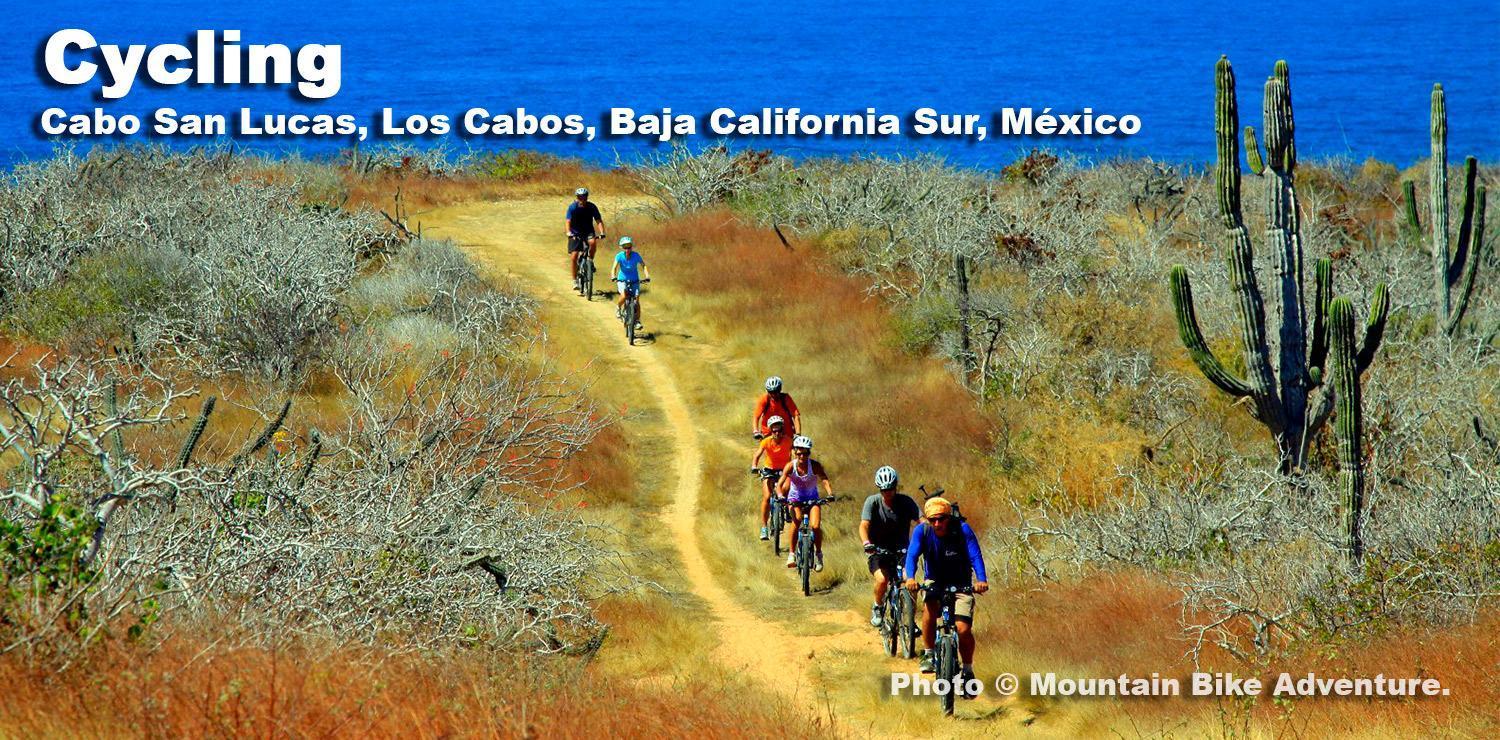 Cabo Manor -Full Work From Home Condo! Book 3 Night Minimum, & Stay Up To 365 Nights Or More! *