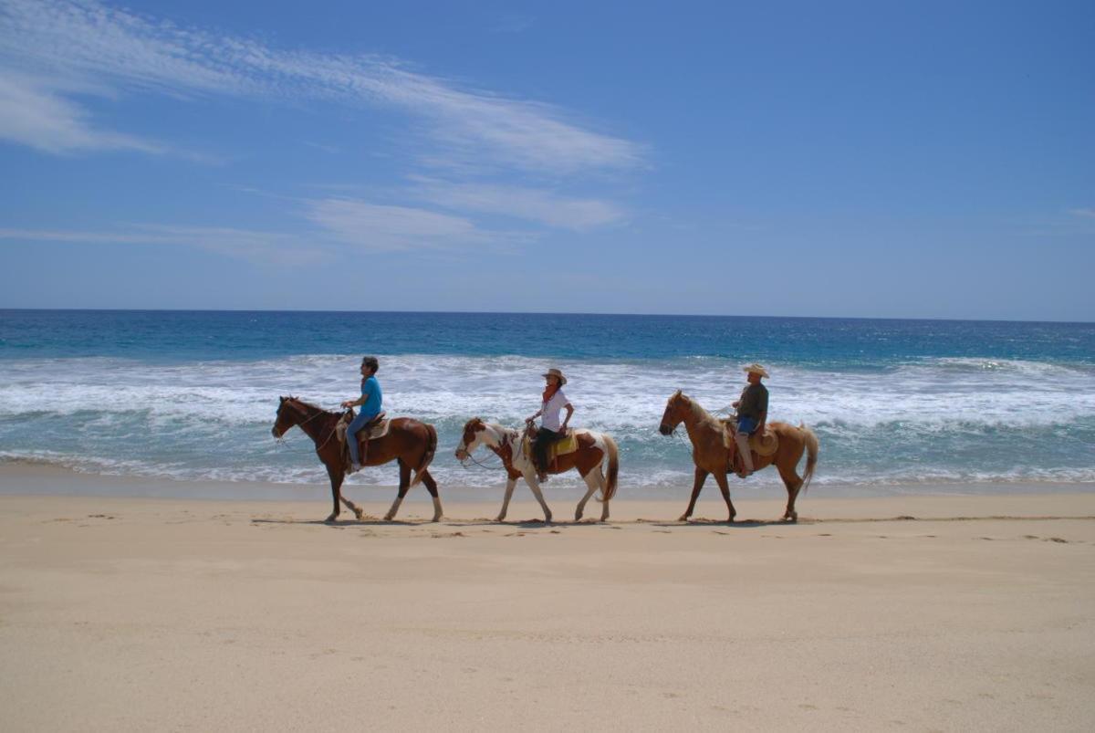 Cabo Manor -Full Work From Home Condo! Book 3 Night Minimum, & Stay Up To 365 Nights Or More! Aparthotel *