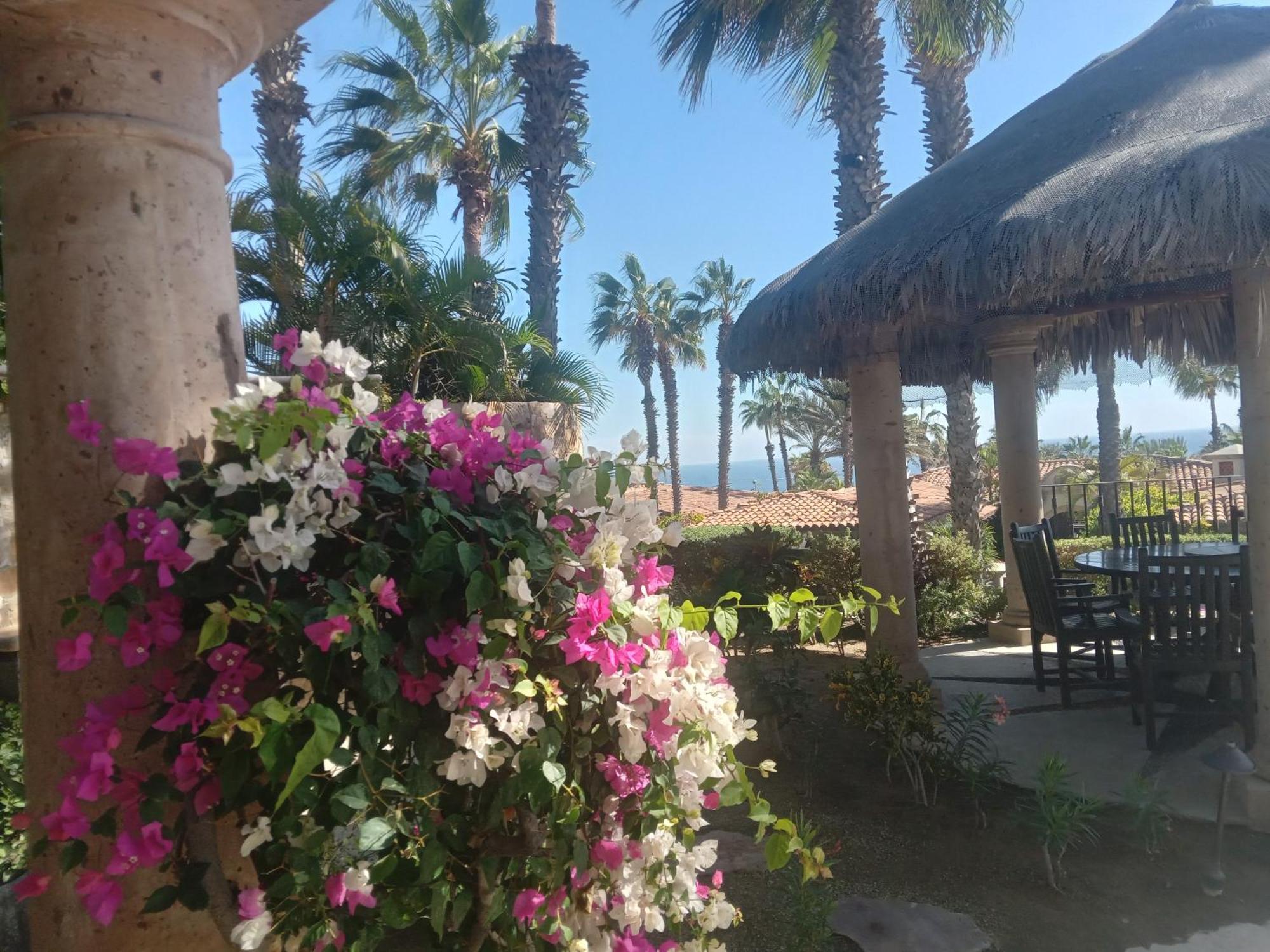 Resort Hacienda La Ballena Cabo San Lucas