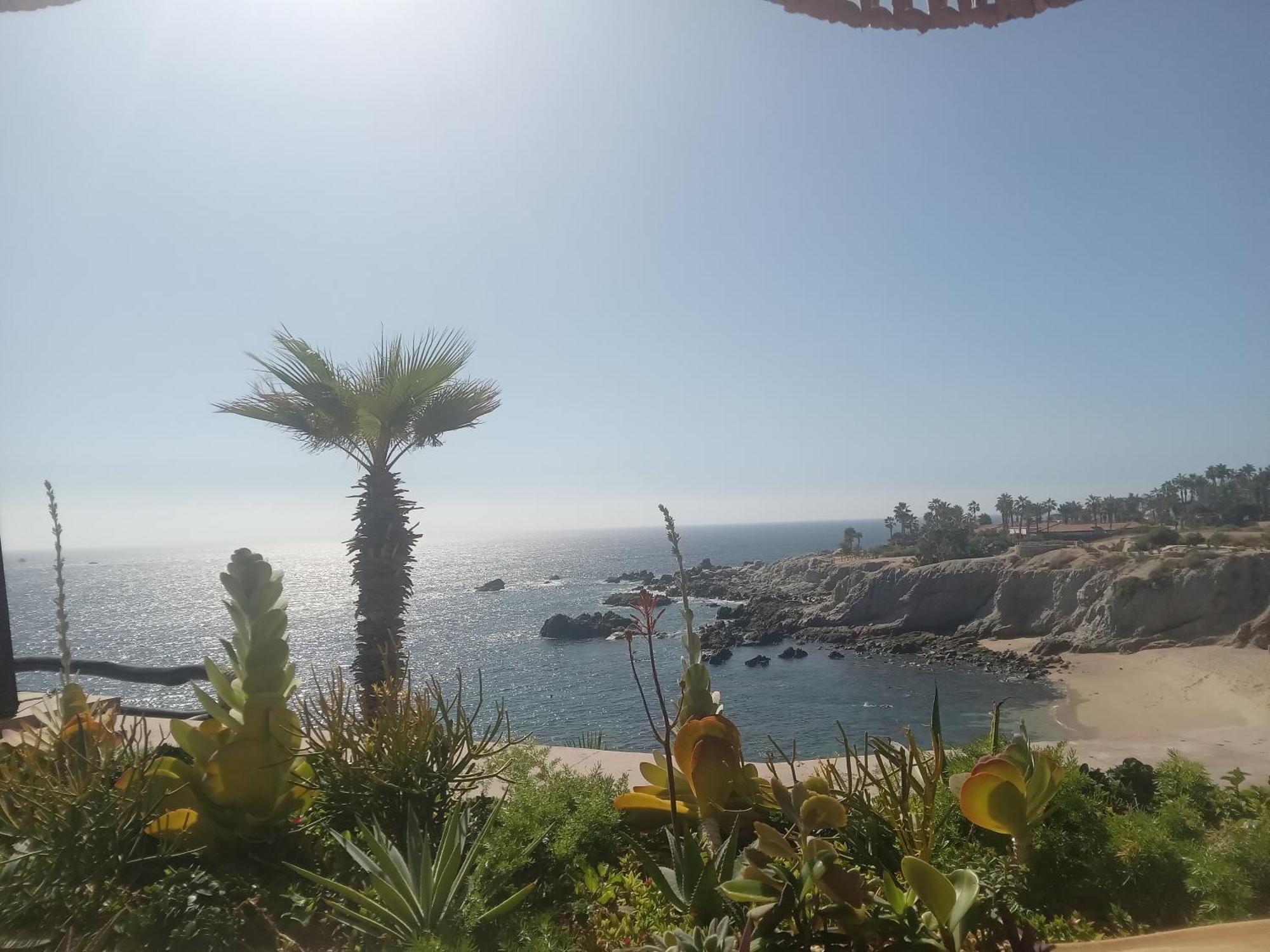Hacienda La Ballena *