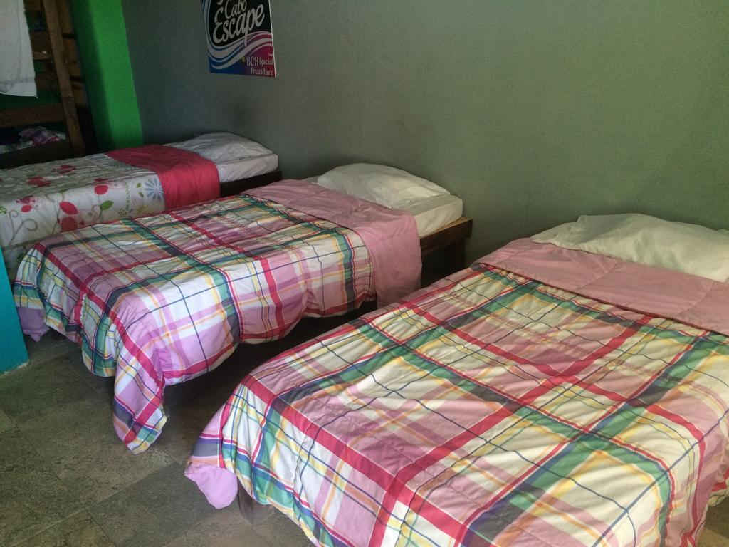 Bajas Cactus Hostal Cabo San Lucas
